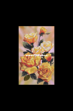 Nova Sloboda CP3041. Yellow roses.xsd