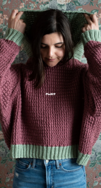 Lake Placid Hooded Sweater by Lion Brand Yarn - Free