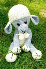 Little sheep
