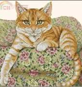 Sitting Pretty by Jayne Netley Mayhew from Cats of the World in Cross Stitch 2002 XSD