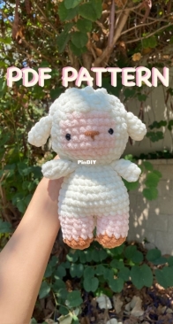 Yuvals Crochet - Yuval  Zabri - Lamb