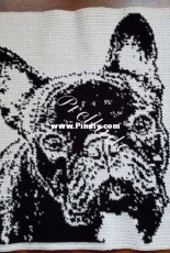 Tapestry crochet blanket using PCstitch software