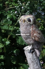 Tawny Owl by Claire Garland