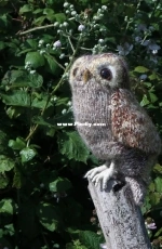 Tawny Owl by Claire Garland