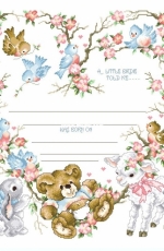 Stoney Creek Collection Book 269 A Little Birdie Told Me Birth Sampler PCS