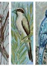 Birds Series by A. A. Sliwa-Klara 4289, 4304, 4310 from Hafty Polskie 9/2010, 10/2010, 12/2010 XSD