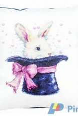 Luca-s Rabbit in the hat
