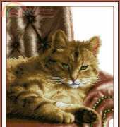 Lanarte PN-0146177 - Relaxed Tabby