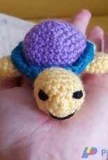 Little Turtle