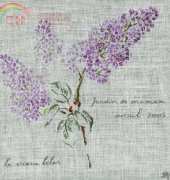 MTSA Le vieux lilas