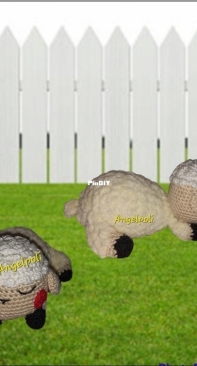 sheep