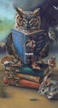 Abakan- Owl Reading A Book by Urszula Przygrodzka