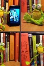 Natalia Shumova- Mr. Frog the yoga master -  Translated - free