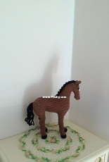 horse