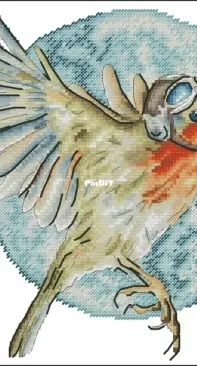 delivery of stars by Anastasia Soloshenko
