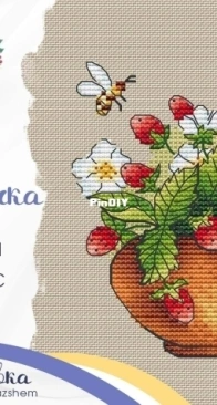 Strawberry by Alina Ignatyeva XSD