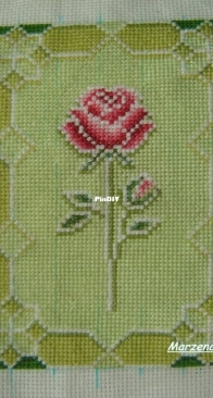 Solaria Gallery-Spring Rose