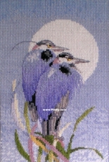 Para