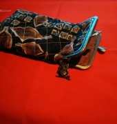 Funda gafas