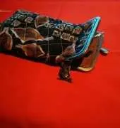 Funda gafas