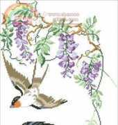 Flight over Wisteria from Le idee di Susanna RU 05/2004 XSD + PCS