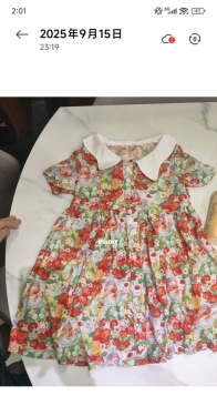 Little Girl's Little Dress