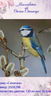Titmouse by Stepanchuk Oksana XSD