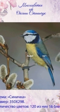 Titmouse by Stepanchuk Oksana XSD
