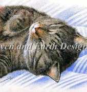 HAED HAEIAG 1257 Sleepy Tabby by Irina Garmashova