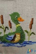 Cross stitching - Brutto anatroccolo