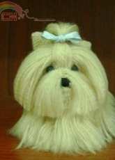 Yorkshire dog