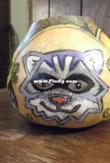 My first gourd project