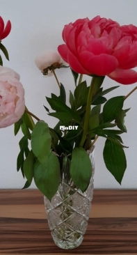 Blumen aus Garten