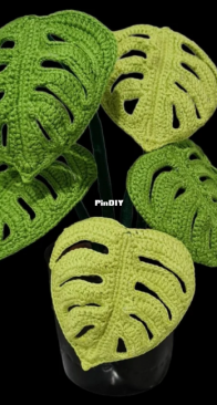 Be Create And Healthy - Monstera Swiss Cheese Plant
