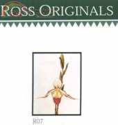 Ross Originals R07 - P. Longifolium Orchid -