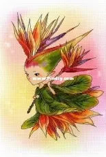 Lena Lawson Needlearts - Bird of Paradise Sprite XSD
