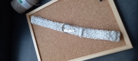Belt - 1