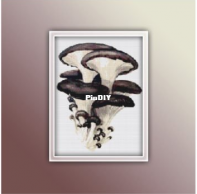 Light Unicorn Designs - Oyster Mushroom 1