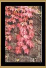 Mystic Stitch MART-14 - Leaves on the Wall