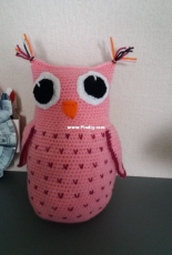 a little owl
