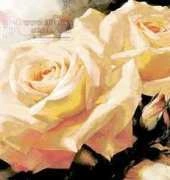 I Love Cross Stitch IL-020 Romantic Shine II xsd & Pat