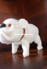 English bulldog by Sally Muir and Joanna