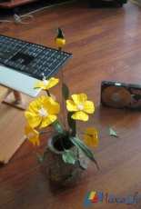 Paper Flowers
