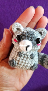 Zylah Crafts - Zylah Pan - Tiny Raccoon