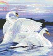 Kustom Krafts DAW-006_Swans