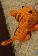 Little cat