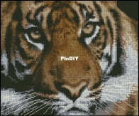 Tiger by Kristina Gevorkyan - Free