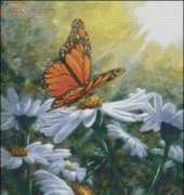 FIORI 156