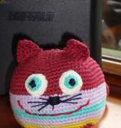 funny cat