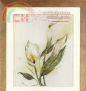 Lanarte 34788  Calla Lily